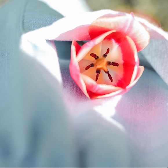 Meet your Posher, Lisa - Picture 1 of 1